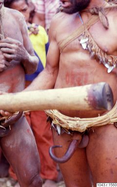 ["fotografi, photograph"]