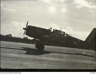 KIRIWINA, TROBRIAND ISLANDS, PAPUA. 1943-12-26. A VULTEE VENGEANCE DIVE BOMBER AIRCRAFT OF NO. 23 (VENGEANCE) SQUADRON RAAF COMING IN TO LAND AFTER A RAID ON NEW BRITAIN