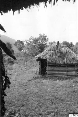 hydda, thatched, trees, building, photography, ph