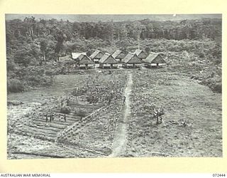 KOKODA, NEW GUINEA. 1944-04-13. NATIVES IN THE GARDENS AT THE NATIVE HOSPITAL. THE HOSPITAL LIES WITHIN THE AREA CONTROLLED BY THE SUB DISTRICT OFFICE, AUSTRALIAN NEW GUINEA ADMINISTRATIVE UNIT