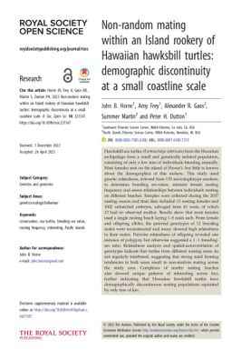 Non-random mating within an Island Rookery of Hawaiian Hawksbill Turtles: demographic discontinuity at a small Coastline scale