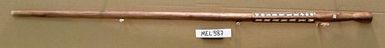 walking stick