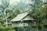 Medical Aid Centre at a Catholic Mission, Buin Subdistrict, [Papua New Guinea, 1963?]