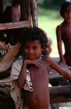 ["fotografi, photograph"]