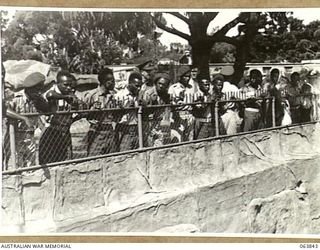 SYDNEY, NSW. 1944-01-26. AUSTRALIAN AND NEW GUINEA ADMINISTRATION UNIT NATIVES WATCHING THE TIGERS AT THE TARONGA PARK ZOO DURING THEIR TOUR OF INSPECTION OF WAR FACTORIES IN THE METROPOLITAN AREA