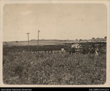 Pineapple Cannery and Women's accommodation house blocks