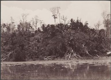 Mission Station, Fore Fou, Malaita, Solomon Islands, 1906 / J.W. Beattie