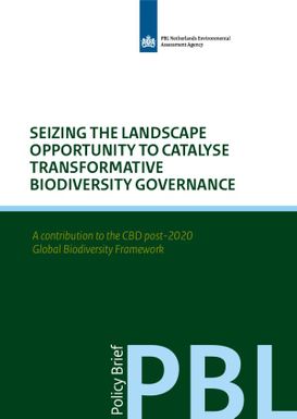 Seizing the Landscape Opportunity to Catalyse Transformative Biodiversity Governance