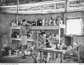 SOGERI VALLEY, NEW GUINEA. 1943-06-25. QX34567 LIEUTENANT (LT) R. F. A. EBNETER (SEATED) UNIT PHARMACIST USING MICROSCOPE, AND QX53208 LT F. A. N. STENLAKE IN THE DISPENSARY OF THE 11TH AUSTRALIAN ..