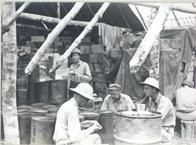 Ninth General Hospital. World War II. Goodenough Island.