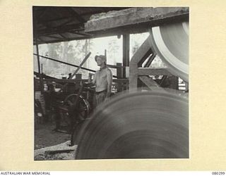 BUSU FOREST, LAE AREA, NEW GUINEA. 1944-07-26. A WINCHMAN OF THE 2/3RD FORESTRY COMPANY, ROYAL AUSTRALIAN ENGINEERS, HAULS A LOG UP THE LOG-SKIDS TOWARDS THE BREAKING DOWN CARRIAGE