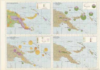 [New Guinea agricultural land-use] / National Statistical Office