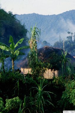 ["fotografi, photograph"]