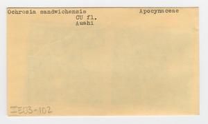 [Ochrosia sandwicensis in Hawaii, envelope IE03-102]