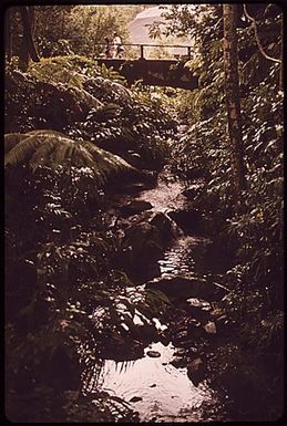 PARADISE PARK, A COMMERCIAL ENTERPRISE DESIGNED TO DISPLAY SOME OF THE NATURAL BEAUTY OF THE ISLAND, IS IN A CONSERVATION DISTRICT WHICH IS PRIMARILY FOREST AND WATER RESERVE LAND. THE STATE DEPARTMENT OF LAND AND NATURAL RESOURCES CONTROLS LAND USE IN "CONSERVATION" ZONES