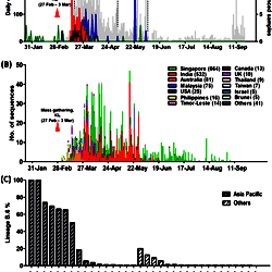 Fig 2 -