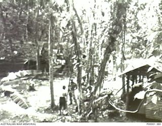 NEW IRELAND, 1945-10. JAPANESE CAMP AREA WITH ALLIED AND JAPANESE SERVICEMEN HOLDING A DISCUSSION. (RNZAF OFFICIAL PHOTOGRAPH.)