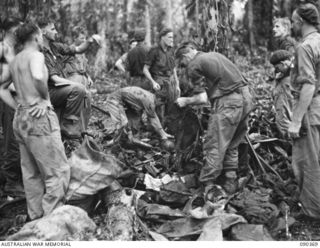 BOUGAINVILLE. 1945-04-06. 25 INFANTRY BATTALION TROOPS SEARCHING THROUGH CAPTURED JAPANESE EQUIPMENT FOR DOCUMENTS, AND GATHERING UNUSED AMMUNITION IN CHAFF BAGS, AFTER THE ACTION ON SLATER'S KNOLL