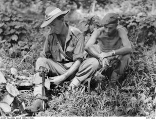 N217544 Signaller F Rigney (left) and NX139602 Corporal J E Broadhead (right), B Section, No 1 Company, 2nd Division Signals putting on their tree climbing irons in preparation for climbing the ..