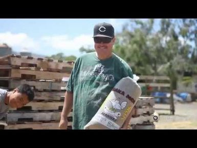 PBS Hawaii - HIKI NŌ Episode 502 | Waianae High School | Home Grown Eggs
