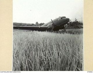 BULOLO AIRSTRIP, NEW GUINEA, 1944-02-20. A DOUGLAS C47 AIRCRAFT OF THE UNITED STATES TRANSPORT COMMAND, UNDER REPAIR AFTER MAKING A ONE WHEEL LANDING A WEEK EARLIER