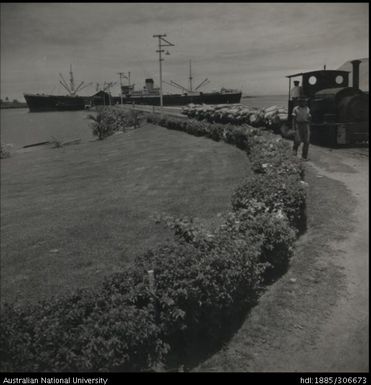 Cane Train