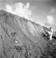 Wahiawa (Hawaii), scientists examine soil