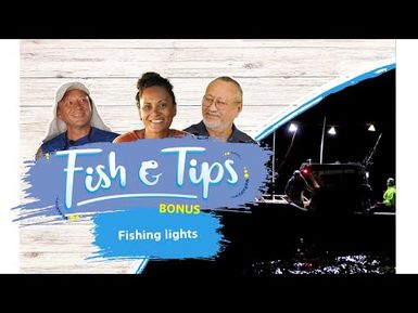 Fishing lights Bonus #1 | Fish & Tips - Season 3