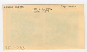 [Achras sapota in Hawaii, envelope IE17-233]