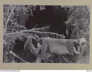 WIRUI MISSION, WEWAK AREA, NEW GUINEA, 1945-05-15. A TUNNELLED DUGOUT BEHIND A 20 MILLIMETRE GUN. IT IS ONE OF A VARIETY OF WEAPONS USED BY THE JAPANESE FORCES AGAINST 2/4 INFANTRY BATTALION ..