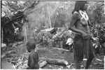 Pig festival, pig sacrifice, Tsembaga: cooking pork in leaf-lined ovens at ancestral shrine