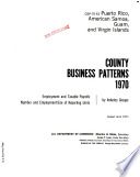 County business patterns, Puerto Rico, American Samoa, Guam, Virgin Islands