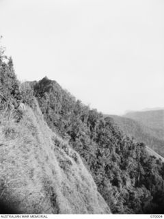 SHAGGY RIDGE, NEW GUINEA. 1944-01-10. LOOKING ALONG SHAGGY RIDGE TO THE "PIMPLE" WHICH WAS CAPTURED BY THE 2/16TH INFANTRY BATTALION ON 1943-12-27. THE "PIMPLE" WAS SUBJECTED TO HEAVY AERIAL ..