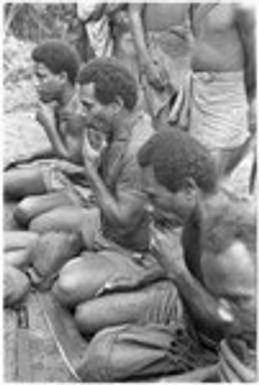 Men playing 'auilangi panpipes, kwa'ikwa'i style, impromptu concert, 8 players