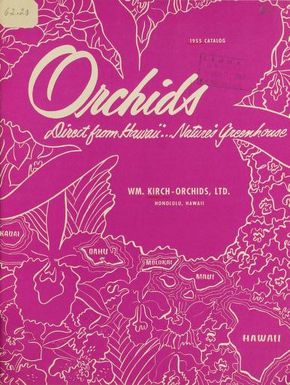 Orchids direct from Hawaii - nature's greenhouse : 1955 catalog