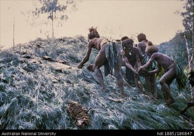 Mendi people repairing a roof