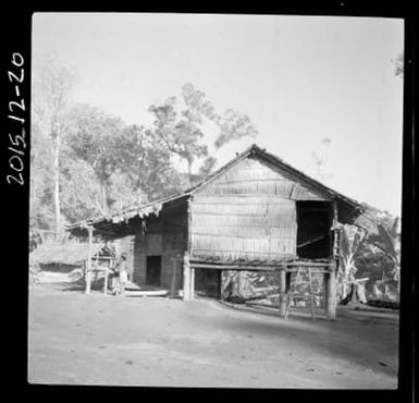 Bougainville Island