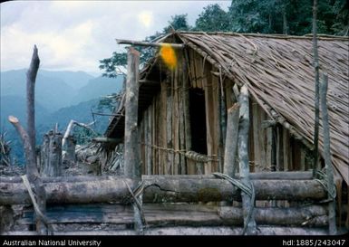 Rear of house, Efonobu
