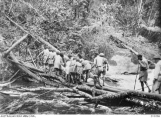 NEW GUINEA. C. 1942-09-02. AN INDICATION OF THE PRIMITIVE LINES OF COMMUNICATION AND OF THE DIFFICULTIES ENCOUNTERED IN THE MOVEMENT OF TROOPS IS SHOWN HERE. NATIVE PORTERS (KNOWN AS FUZZY WUZZY ..