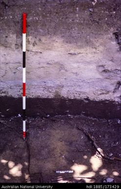 SAC/I, burials 2 and South profile