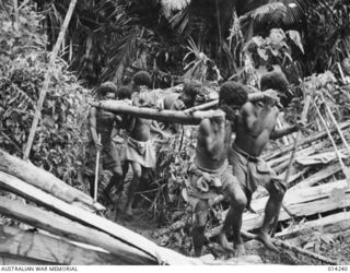 1943-01-27. PAPUA. SANANANDA AREA. MUCH HAS BEEN SAID OF THE INVALUABLE HELP WHICH THE NATIVE BEARERS GIVE THE ALLIED TROOPS. THIS PICTURE SHOWS NATIVES CARRYING OUT A WOUNDED SOLDIER ON A ..