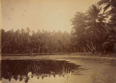 Pleasant Island Lagoon. From the album: Views in the Pacific Islands