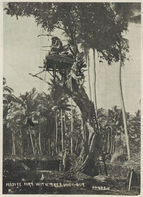 Native hut with tree lookout, in the midst of coconut palms, Samoa