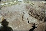 Vaiohu'a archaeological excavation, Moorea