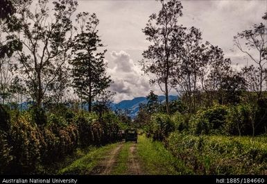 Markham Valley - road in the valley