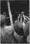 Pig festival, wig ritual, Tsembaga: applying sap to harden wig