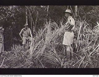 SOGERI VALLEY, NEW GUINEA. 1943-09-19. OFFICERS STANDING BESIDE A CAMOUFLAGED DUGOUT, AT THE NEW GUINEA FORCE TRAINING SCHOOL, TO BE USED FOR THE TEST OF THE PROJECTOR INFANTRY TANK ATTACK MARK 1. ..