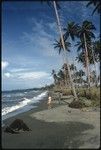 Anne Scheffler on a beach shore