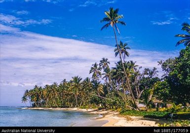 Korolevu - beach
