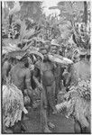 Pig festival, pig sacrifice preparations: men carry gate posts for ritual fence through which allies will be fed